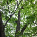 산속농원 이미지