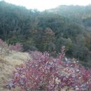 성북2리 이미지