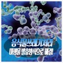 주식회사 조은 이미지