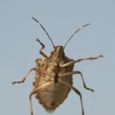 유봉농장 이미지