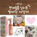 카몽 | 하루 두 번 산책하는 노견 강아지 발관리, 카몽카몽 풋 워시 솔직 후기 🐾