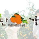 법인가뫼물