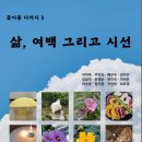 일이일이룸