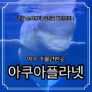 일로-16 | 여수 아쿠아플라넷 아쿠아리움 관람순서 스탬프북 비오는날 실내 데이트 코스