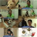 안기농장 이미지