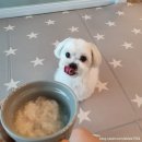 넌나의가족 이미지