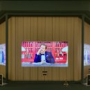 시소건축 | 서울전시회 우연히 웨스 앤더슨 2 그라운드시소센트럴 솔직 후기
