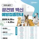 벳케어 동물병원 이미지