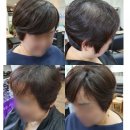 김호증모