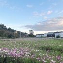 남성현출장소 이미지