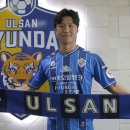 이호랑37 이미지