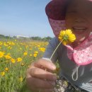 무한천농장 이미지