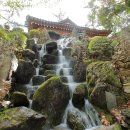 대궐오토캠핑장 이미지