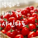 (주)샤인팩토리농업회사법인