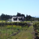 한라산농장 이미지