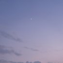 와이엘뮤직