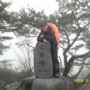 용진사