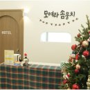 대구애견미용 강아지호텔 모여라솜뭉치 이미지