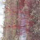 테크노대우공인중개사사무소 이미지