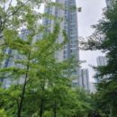 화성금곡초등학교 이미지