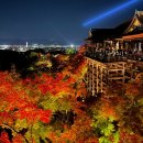 미나미아리마 | 교토 청수사 단풍 라이트업 단풍절정에다녀옴🍁