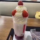 나주초등학교 | [준비&amp;출전후기] 안세영선수 올림픽 제패 기념 및 제18회 나주페어컵 전국 배드민턴대축제 / 동신대...