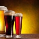 진동물병원 이미지