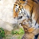 김도환한의원 이미지