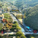 금천계곡 야영장 이미지