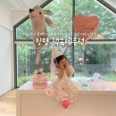 별빛펜션A | 양평 책속에 풍덩 숲속 프라이빗 펜션 Lodge A 내돈내산 후기