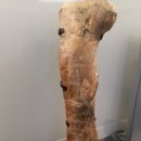 [쥬라기 월드: 특별전] 그동안의 방문 최종 후기!!