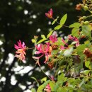 다산2리 이미지