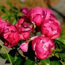 중앙로~물무로 이미지