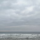 양양서핑당구장 | 양양 1박2일 여행(상운메밀촌,송이닭강정,오션스테이 인더시티,호호잡화점)