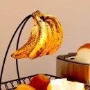 진리한옥 이미지