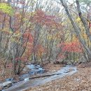 백운산번개결산(24년11월10일ㆍ일) 이미지