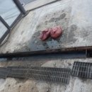 파주셀프주유소 이미지