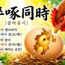 줄탁동시 이미지