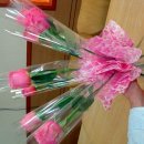 셀로판B 이미지