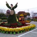 휴그린플러스