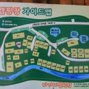 마가리 이미지