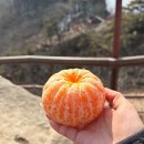 야호김밥 | 관악산 연주대 등산 코스 | 사당역 출발 서울대입구 하산, 로데오김밥 포장 후기