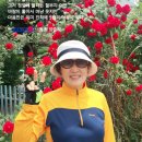 바람향기 이미지