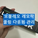 레오개발(주) | 모블레오 레오락 다운펌 관리 두피 쿨링 두피 건강 사용 후기 정리