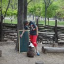 하바드안경 이미지