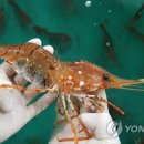 도화당구장 이미지