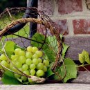 동해종묘사 이미지