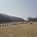 개꿀잼 애견카페 | 진천 가볼만한곳 진천 미르309 출렁다리 + 농다리세트! (반려견 동반 금지)