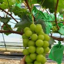 유목농장 이미지