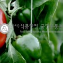 디유크리에이티브주